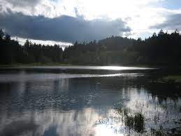 outdoor workouts, Nanaimo parks, Vancouver Island trails, fitness and nature, coastal exercise, outdoor adventure, scenic beauty, active lifestyle.