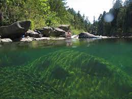 outdoor workouts, Nanaimo parks, Vancouver Island trails, fitness and nature, coastal exercise, outdoor adventure, scenic beauty, active lifestyle