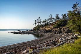 outdoor workouts, Nanaimo parks, Vancouver Island trails, fitness and nature, coastal exercise, outdoor adventure, scenic beauty, active lifestyle.