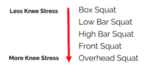 Squat Technique, Knee Pain Relief, Strength Training, Fitness Tips, Squat Variations, Injury Prevention, Physical Therapy, Exercise Modifications, Barbell Training, Range of Motion
