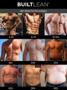 Metabolism, muscle mass, basal metabolic rate