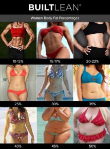 Metabolism, muscle mass, basal metabolic rate