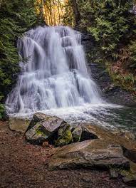 Outdoor Workout Spots: Embrace Nature at Nanaimo’s Scenic Parks and Trails