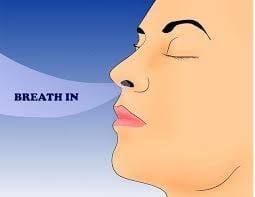 Optimizing Health and Fitness: Unleashing the Power of Nasal Breathing and the Book “Breath”