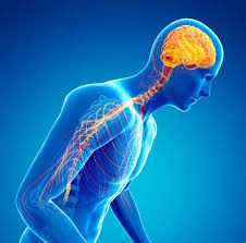 Movement Is Medicine: Living Well with Parkinson’s Disease