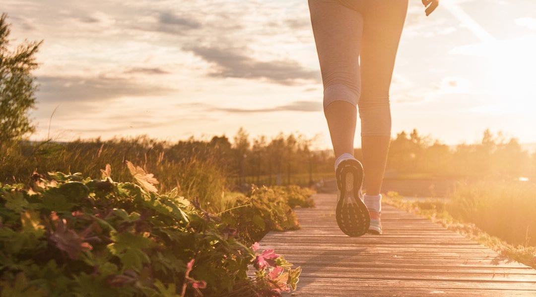Aerobic vs. Anaerobic: Understanding the Two Systems and How to Train Them for Optimal Fitness on Vancouver Island