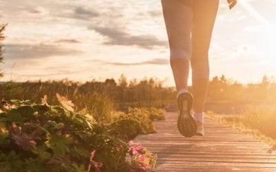 Aerobic vs. Anaerobic: Understanding the Two Systems and How to Train Them for Optimal Fitness on Vancouver Island
