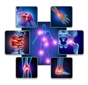 Stability, joints systems, hinge joints, ball and socket joints, range of motion, dynamic movement, self-myofascial release