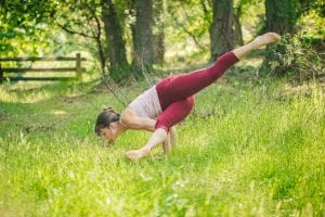Bird of paradise, svarga dvijasana, eka koudiyasana 2, lizard lunge, flip dog, wild thing, camatkarasana, warrior 2, varabhadrasana, viparita virabhadrasana, side angle pose, utthita parsvakonasana, surfer lunge, skandasana, eka koundiyasana, koundinyasana, hindu sage